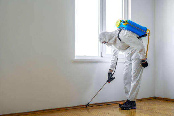 Best Pest Control for Multi-Family Homes  in Maryville, MO